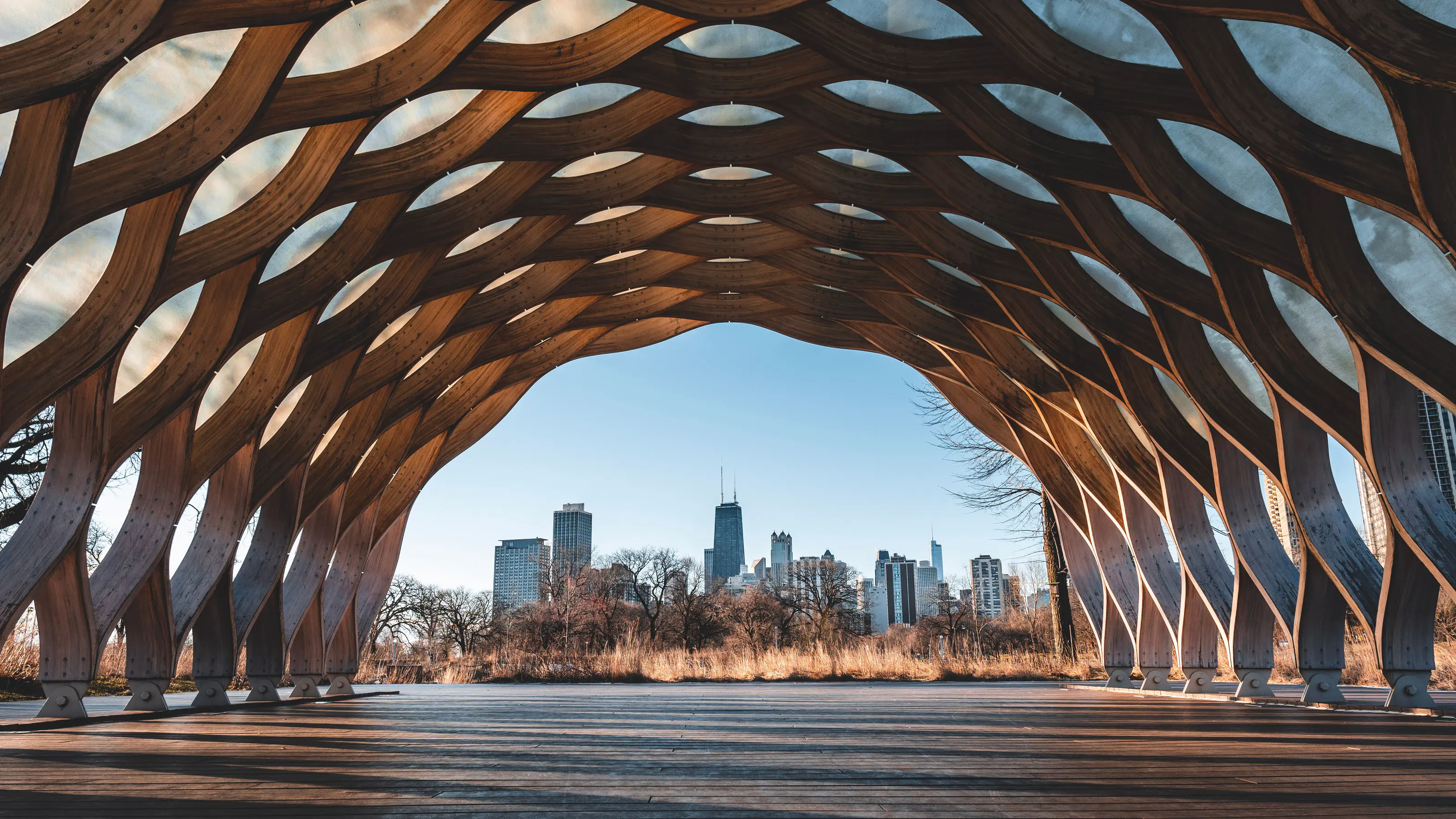 The Chicago skyline seen through the arch of a curved timber lattice pavilion in Lincoln Park, the city framed in the opening at dusk